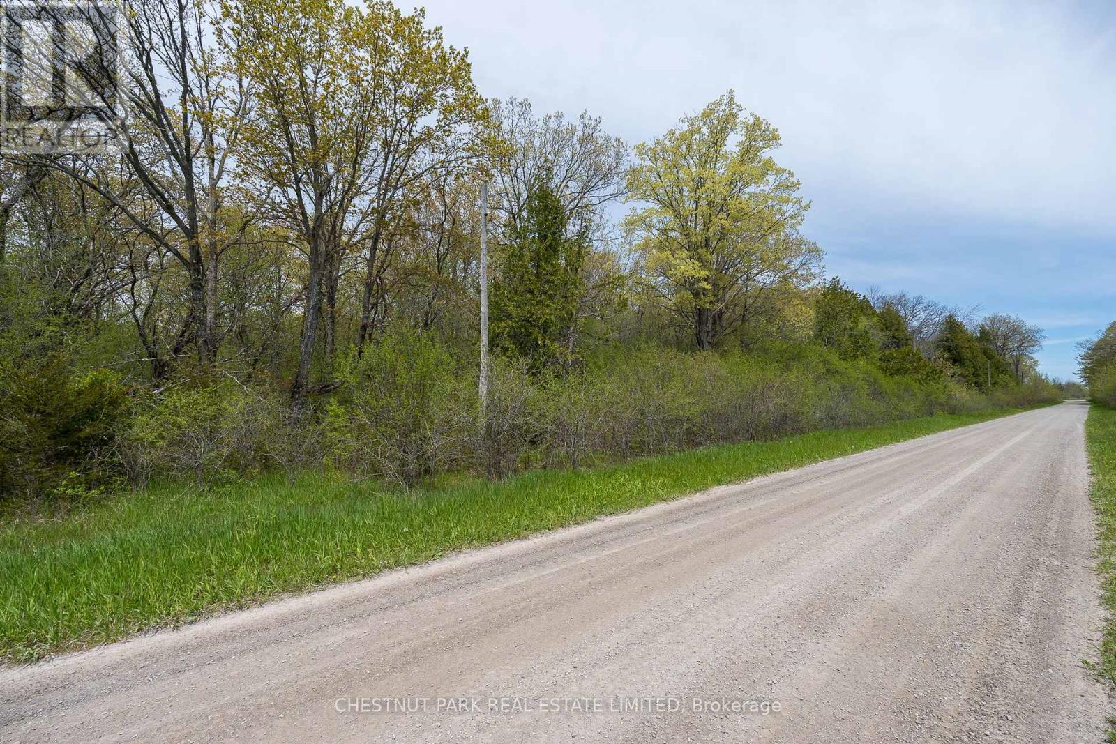 206 Simpson Road, Prince Edward County (Athol Ward), Ontario K0K 2P0 - Photo 11 - X12880370