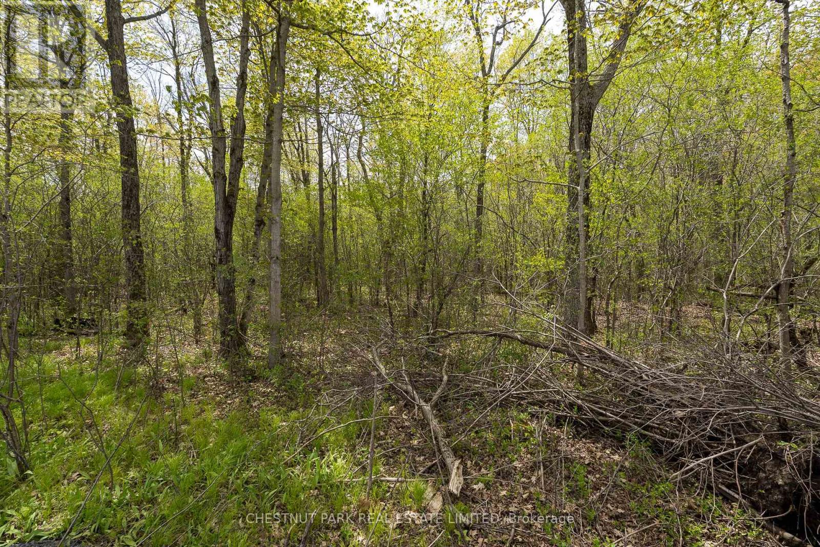 206 Simpson Road, Prince Edward County (Athol Ward), Ontario K0K 2P0 - Photo 17 - X12880370