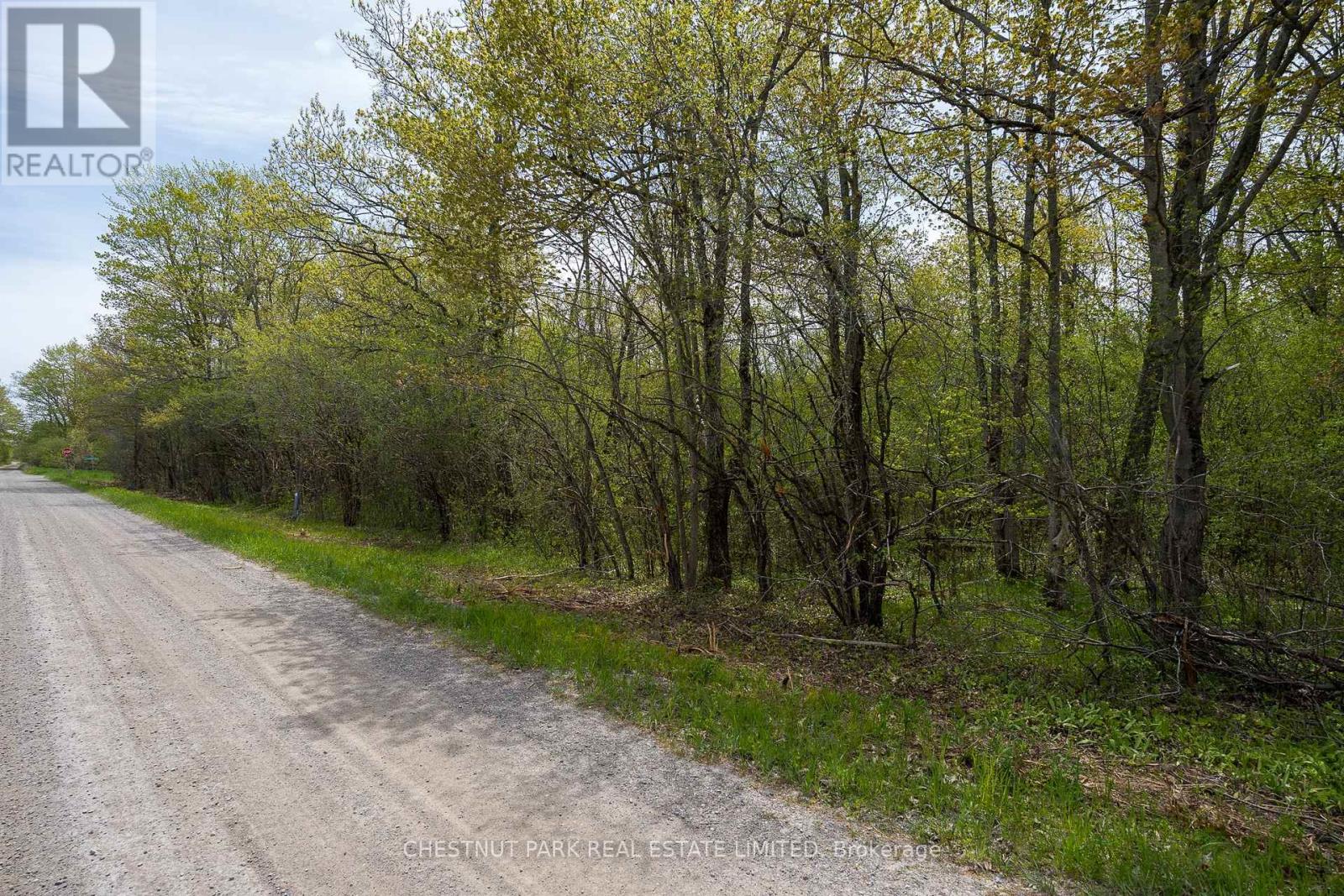 206 Simpson Road, Prince Edward County (Athol Ward), Ontario K0K 2P0 - Photo 13 - X12880370