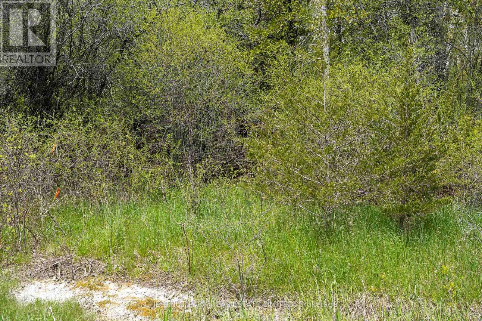 206 Simpson Road, Prince Edward County (Athol Ward), Ontario K0K 2P0 - Photo 12 - X12880370