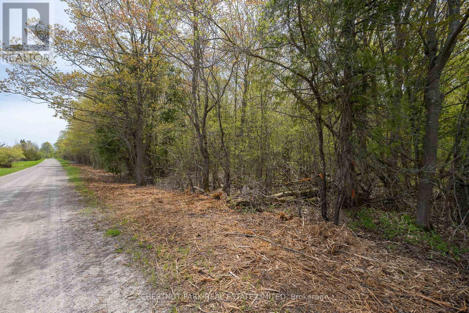 206 Simpson Road, Prince Edward County (Athol Ward), Ontario K0K 2P0 - Photo 19 - X12880370