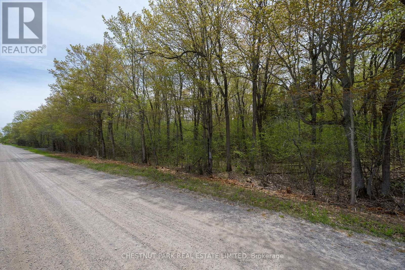 206 Simpson Road, Prince Edward County (Athol Ward), Ontario K0K 2P0 - Photo 24 - X12880370