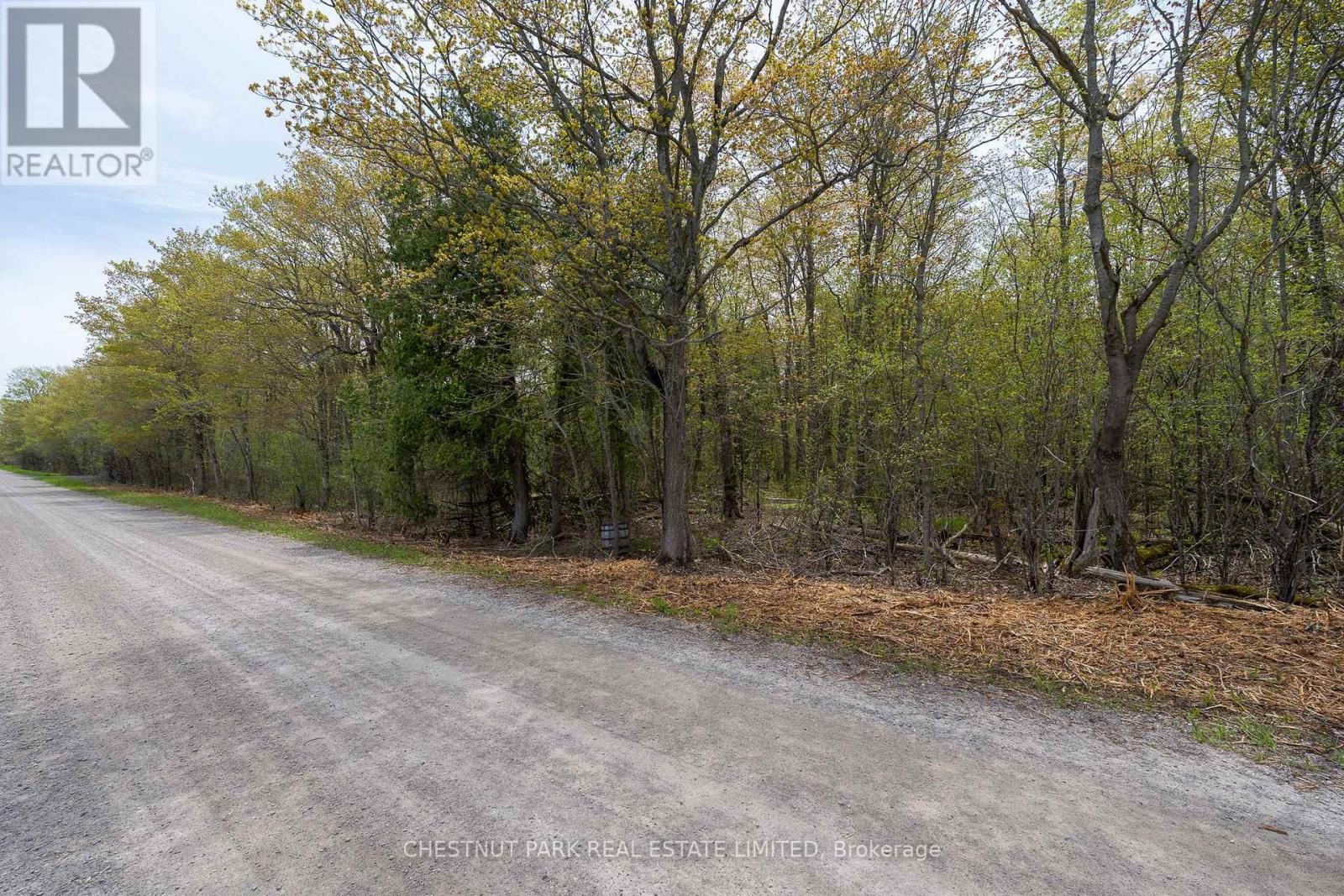 206 Simpson Road, Prince Edward County (Athol Ward), Ontario K0K 2P0 - Photo 22 - X12880370