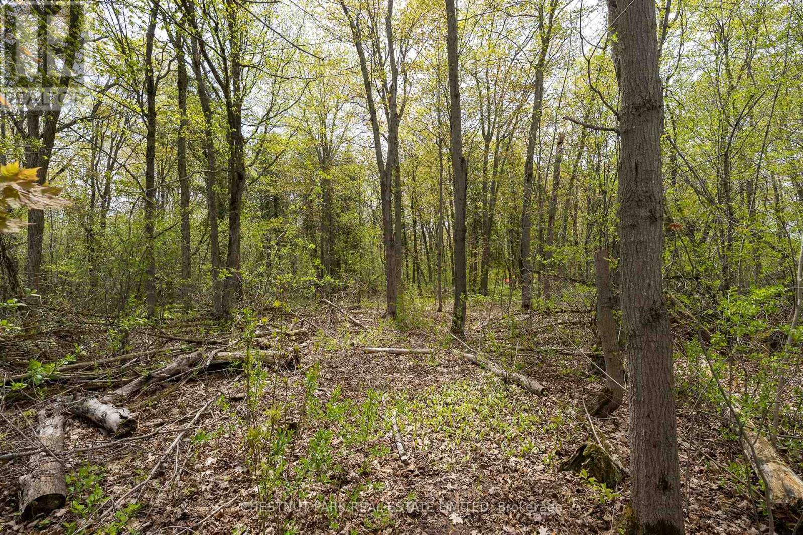 206 Simpson Road, Prince Edward County (Athol Ward), Ontario K0K 2P0 - Photo 23 - X12880370
