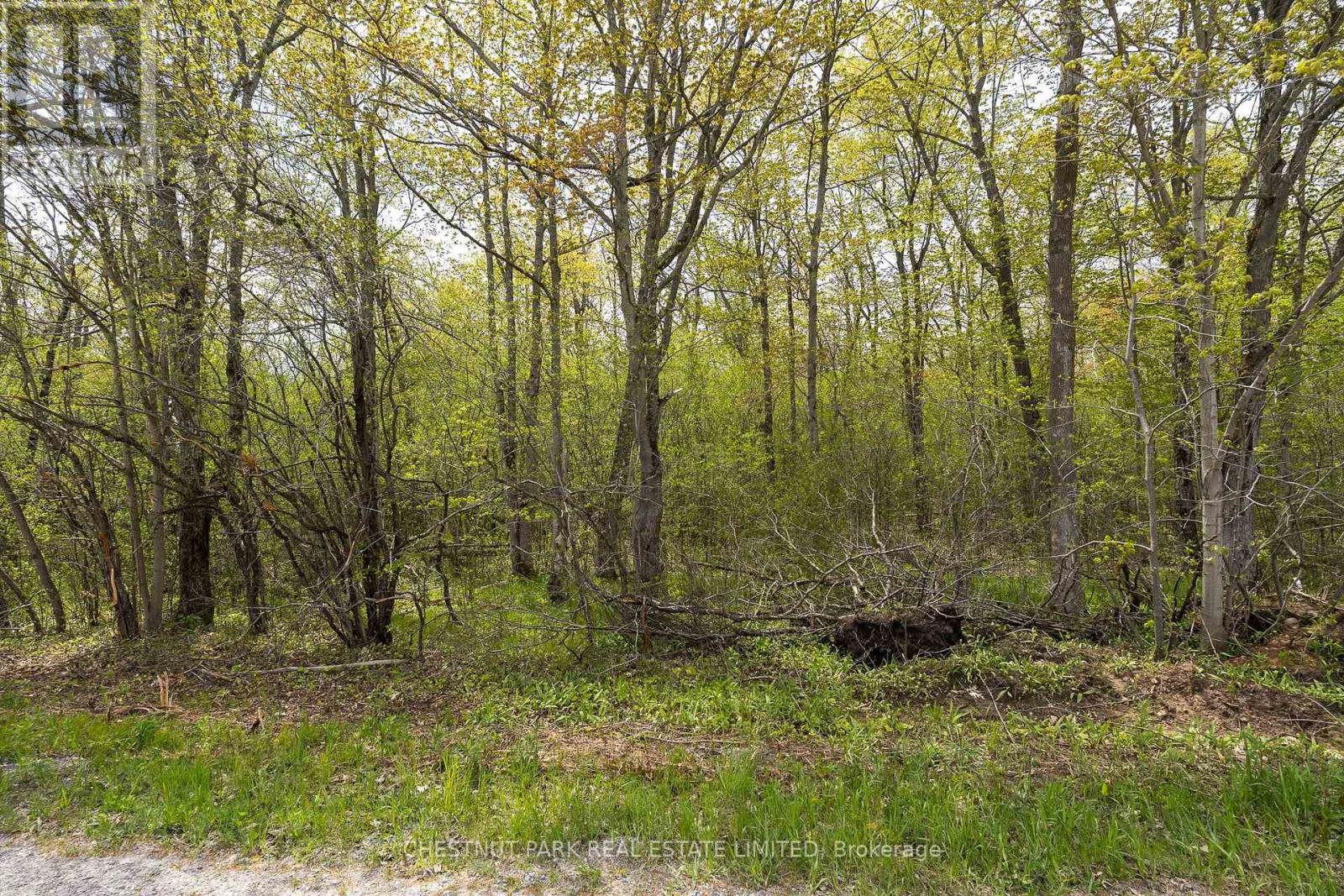 206 Simpson Road, Prince Edward County (Athol Ward), Ontario K0K 2P0 - Photo 14 - X12880370