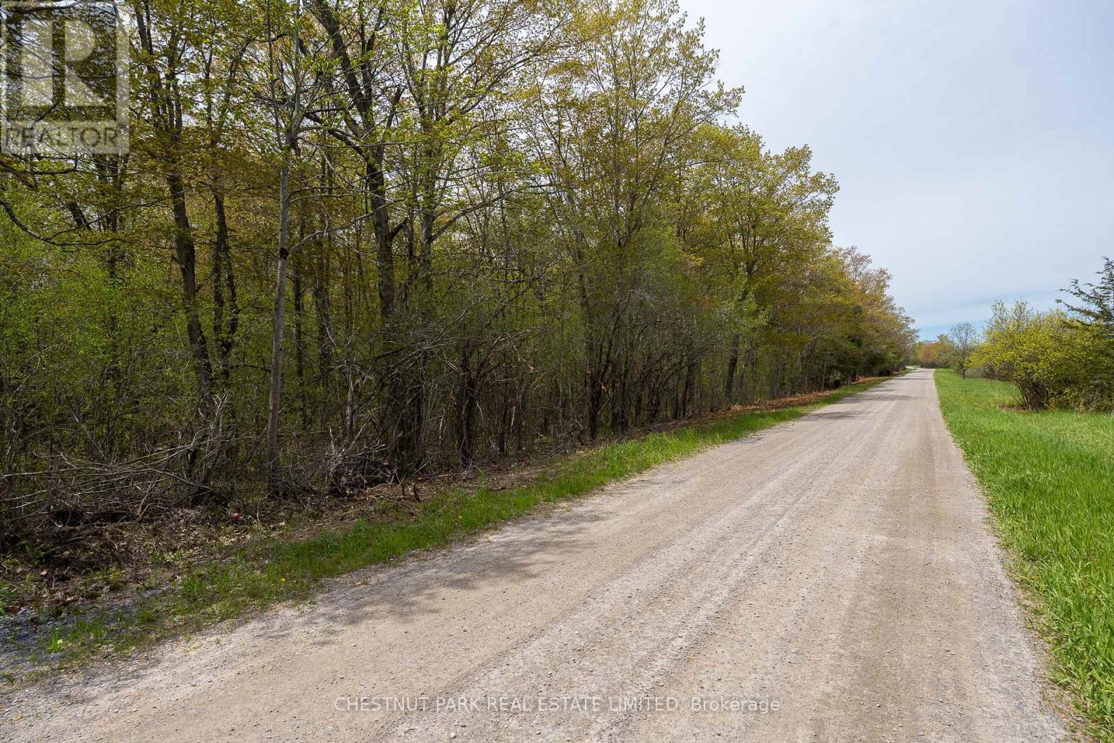 206 Simpson Road, Prince Edward County (Athol Ward), Ontario K0K 2P0 - Photo 18 - X12880370
