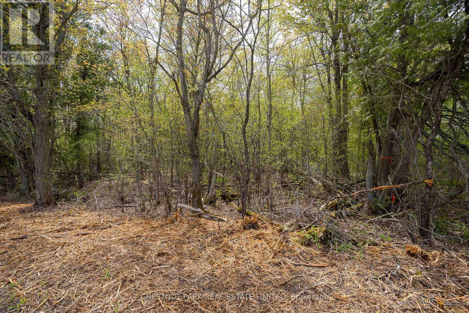 206 Simpson Road, Prince Edward County (Athol Ward), Ontario K0K 2P0 - Photo 21 - X12880370