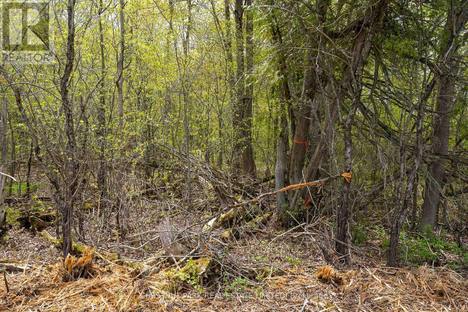 206 Simpson Road, Prince Edward County (Athol Ward), Ontario K0K 2P0 - Photo 20 - X12880370