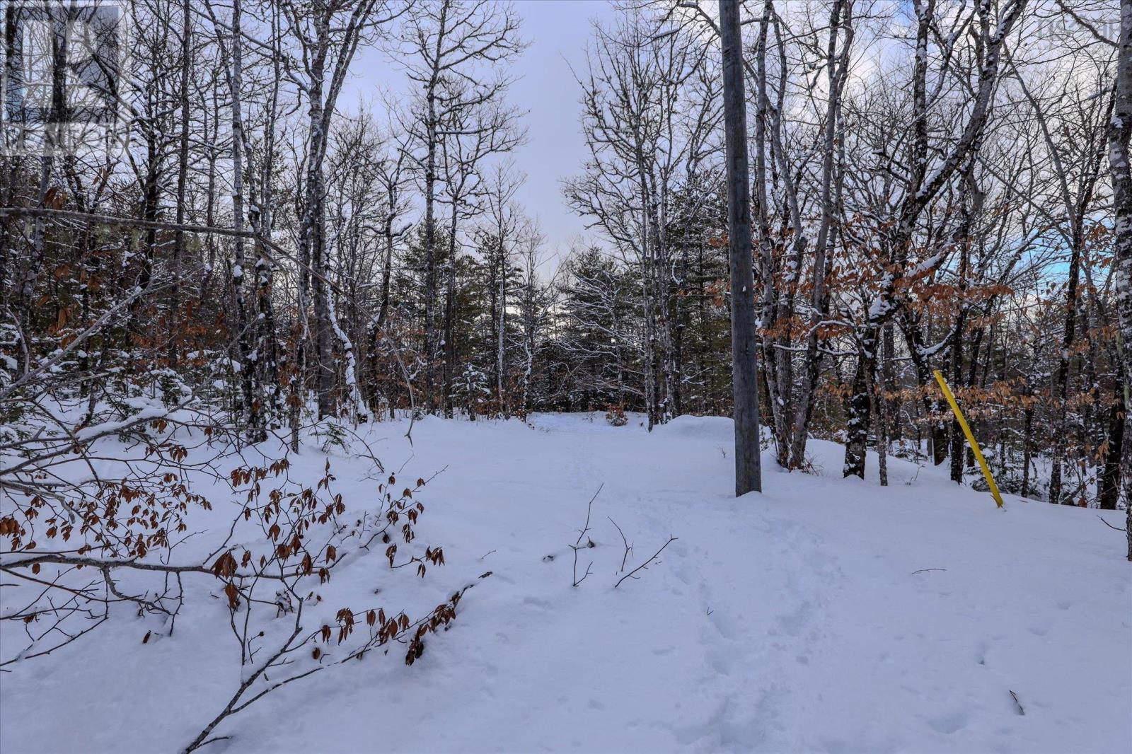 170 Uhlman Point Road, Molega North, Nova Scotia  B0T 1X0 - Photo 27 - 202602423
