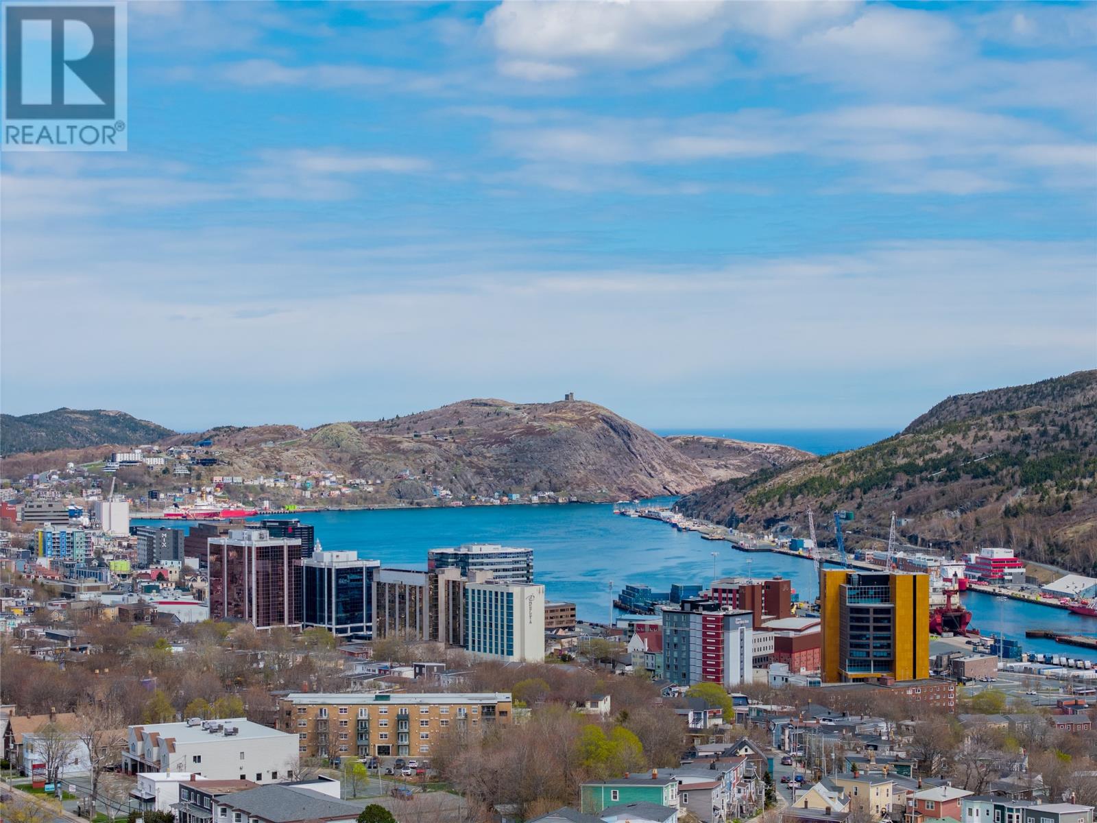44 Beaumont Street, St. John's, Newfoundland & Labrador  A1B 1R6 - Photo 4 - 1297962