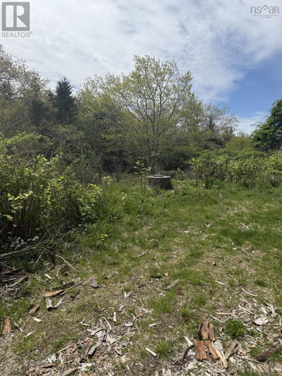 146 Rocco Point Road, Rocco Point, Nova Scotia  B0W 2X0 - Photo 6 - 202611864