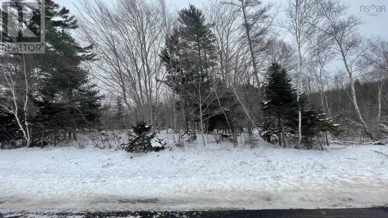 Lot 2 Jordantown Cross Road, Conway, Nova Scotia  B0V 1A0 - Photo 13 - 202602406