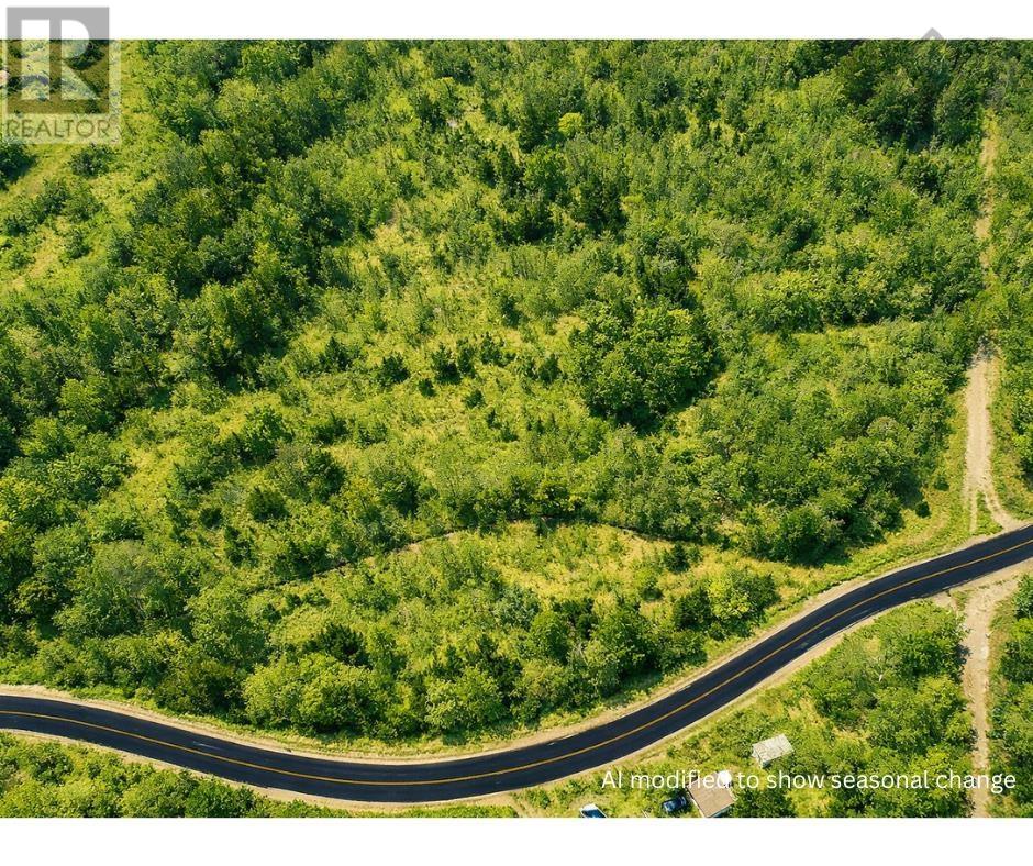 Lot 2 Jordantown Cross Road, Conway, Nova Scotia  B0V 1A0 - Photo 2 - 202602406