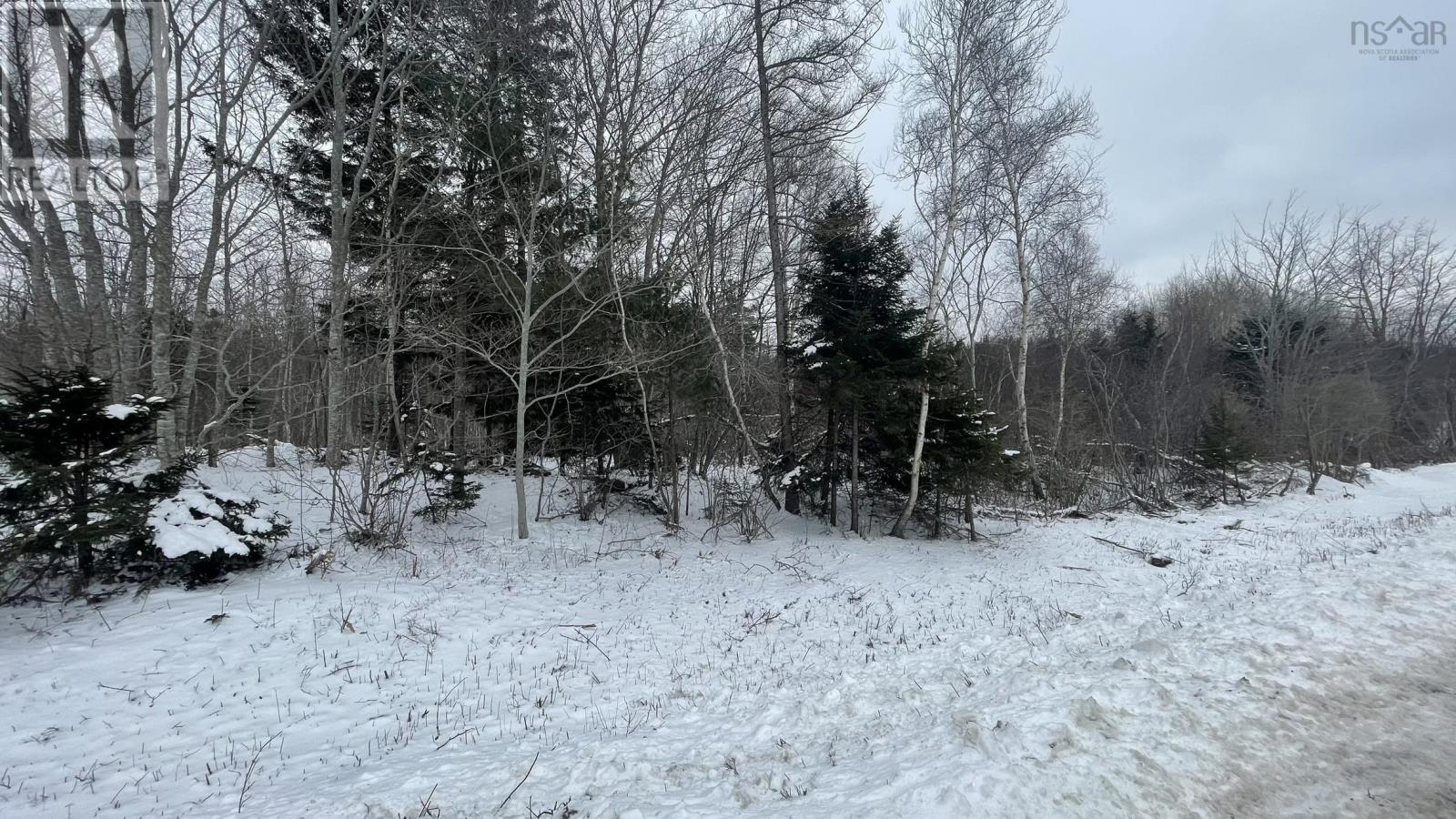 Lot 3 Jordantown Cross Road, Conway, Nova Scotia  B0V 1A0 - Photo 14 - 202602407