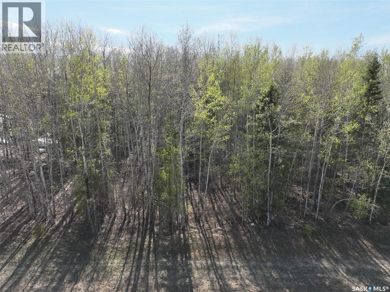 102 Aspen Way, Candle Lake, Saskatchewan  S0J 3E0 - Photo 1 - SK025713