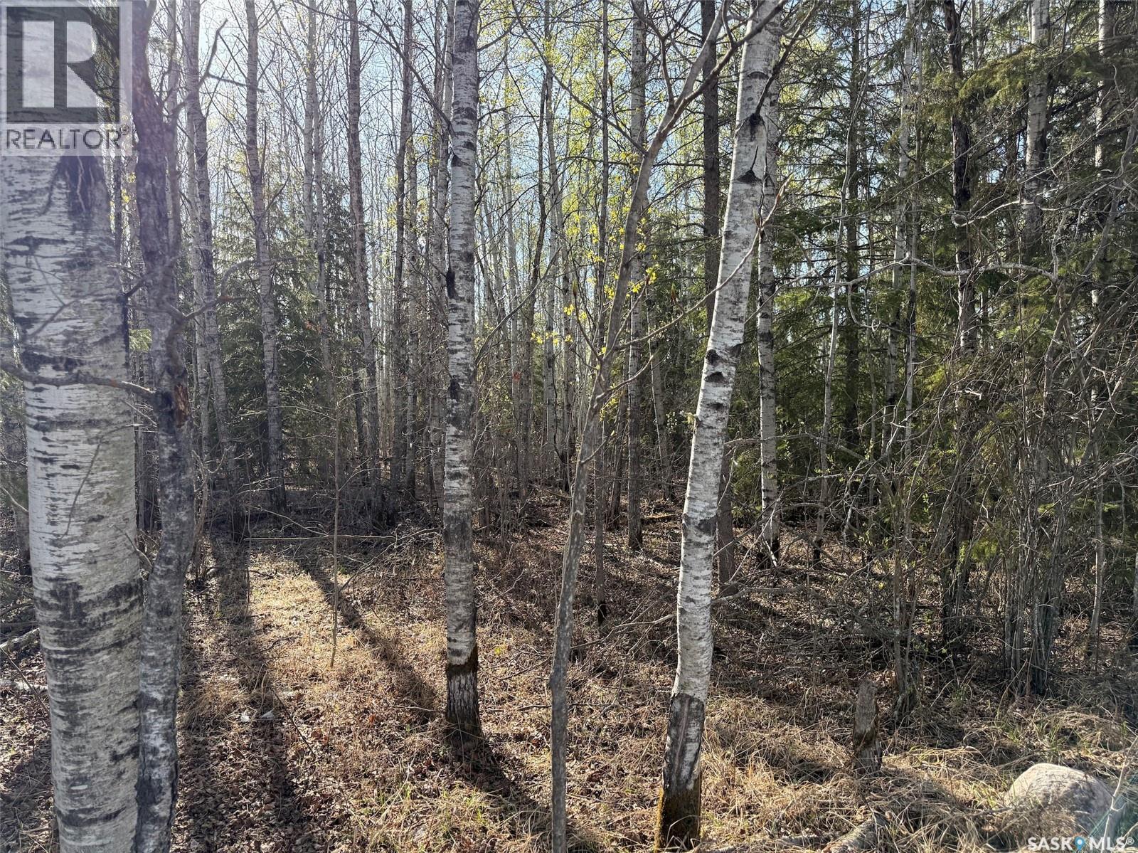 102 Aspen Way, Candle Lake, Saskatchewan  S0J 3E0 - Photo 2 - SK025713