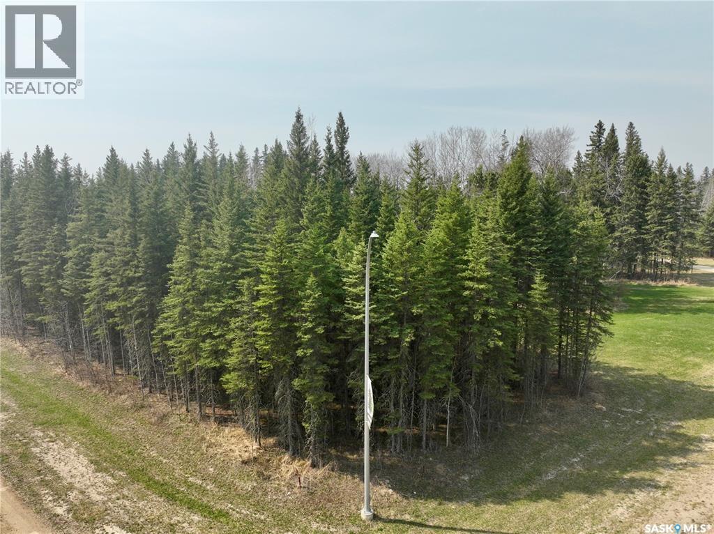 49 Cranberry Court, Candle Lake, Saskatchewan  S0J 3E0 - Photo 2 - SK037121