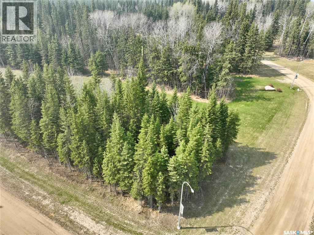49 Cranberry Court, Candle Lake, Saskatchewan  S0J 3E0 - Photo 9 - SK037121