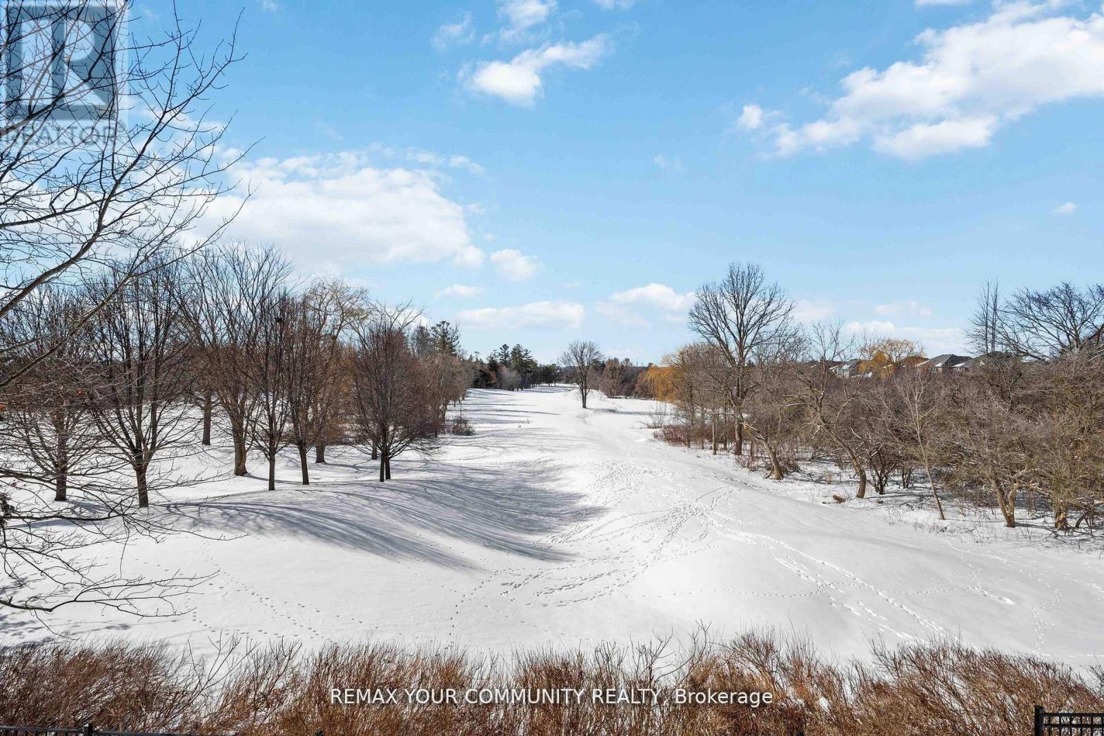 17 - 520 Silken Laumann Drive, Newmarket, Ontario  L3X 2S7 - Photo 47 - N13173392