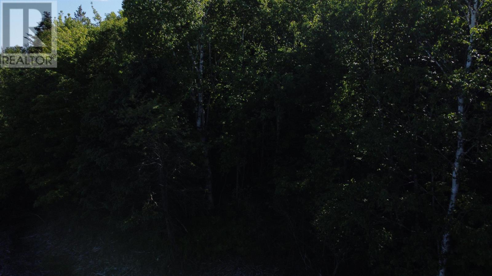 Lot 04-12 Nature Dream P Boulevard, Roberta, Nova Scotia  B0E 3B0 - Photo 18 - 202513259