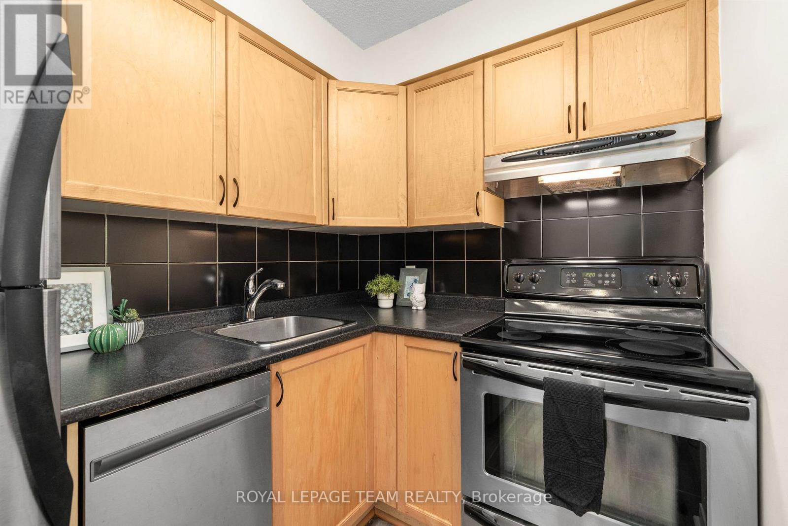 301 - 225 Alvin Road, Ottawa, Ontario  K1K 4H6 - Photo 10 - X13173546