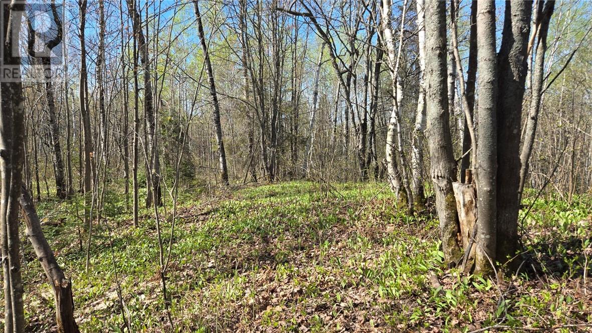 Lot 6 Con 3 Rabbit Trail Road, Warren, Ontario