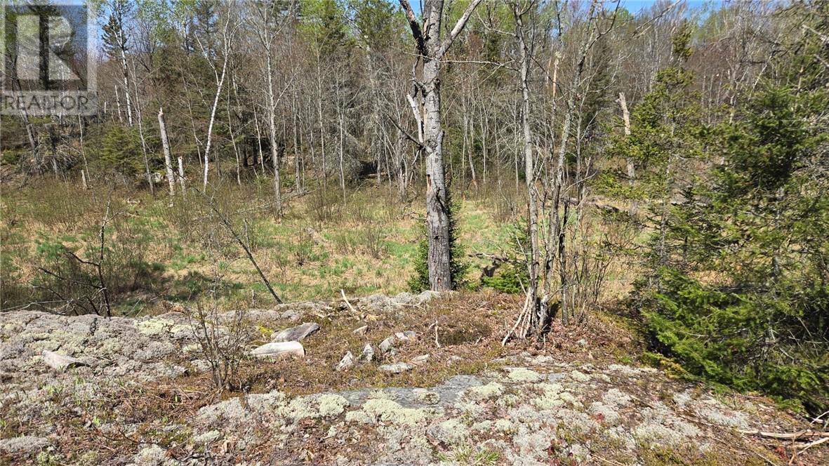 Lot 6 Con 3 Rabbit Trail Road, Warren, Ontario  P0H 2N0 - Photo 4 - 2128049