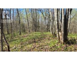 Lot 6 Con 3 Rabbit Trail Road, Warren, Ontario