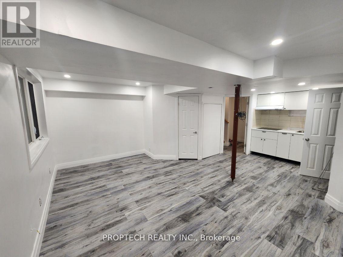 Basement - 733 John Cole Court, Newmarket, Ontario  L3Y 5V7 - Photo 3 - N13173518