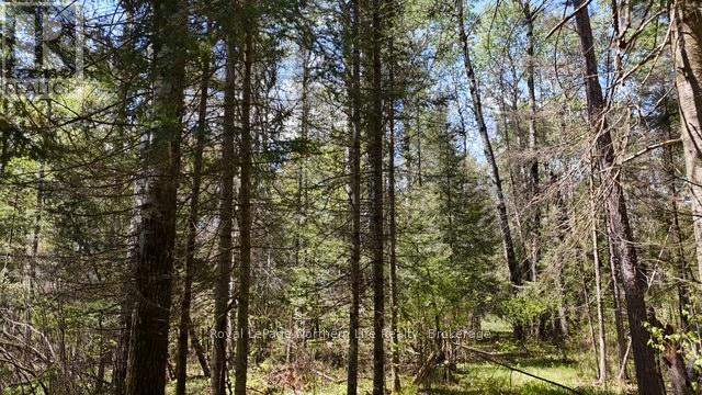 Rd - 576 Hart Road, Callander, Ontario  P0H 1H0 - Photo 13 - X13173732