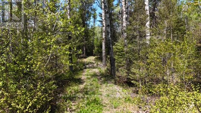 Rd - 576 Hart Road, Callander, Ontario  P0H 1H0 - Photo 6 - X13173732