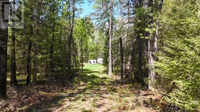 Rd - 576 Hart Road, Callander, Ontario  P0H 1H0 - Photo 9 - X13173732