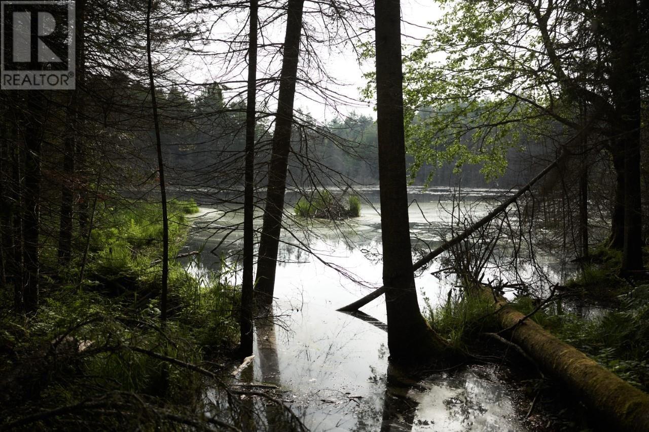 17 Hwy, Spanish, Ontario  P0P 2A0 - Photo 26 - SM261112