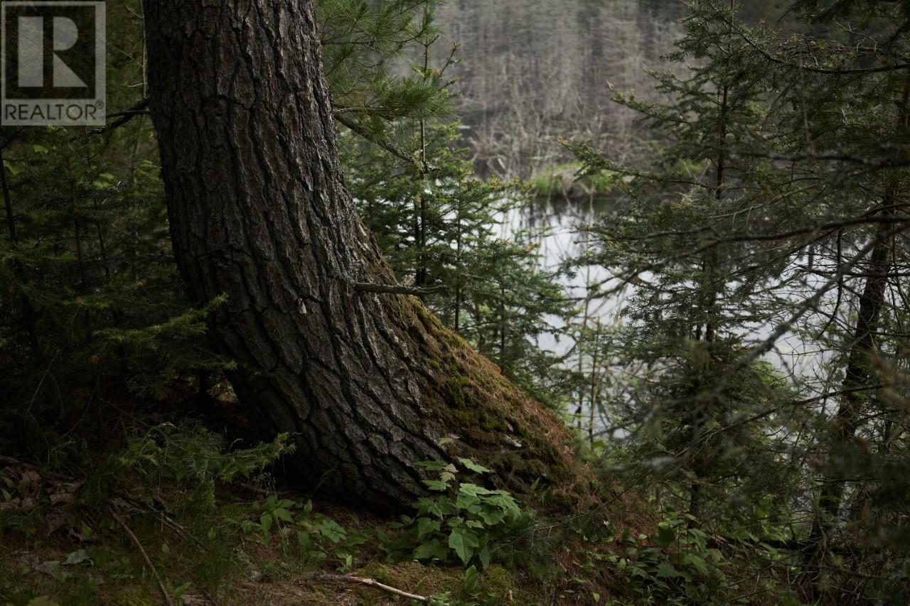 17 Hwy, Spanish, Ontario  P0P 2A0 - Photo 27 - SM261112