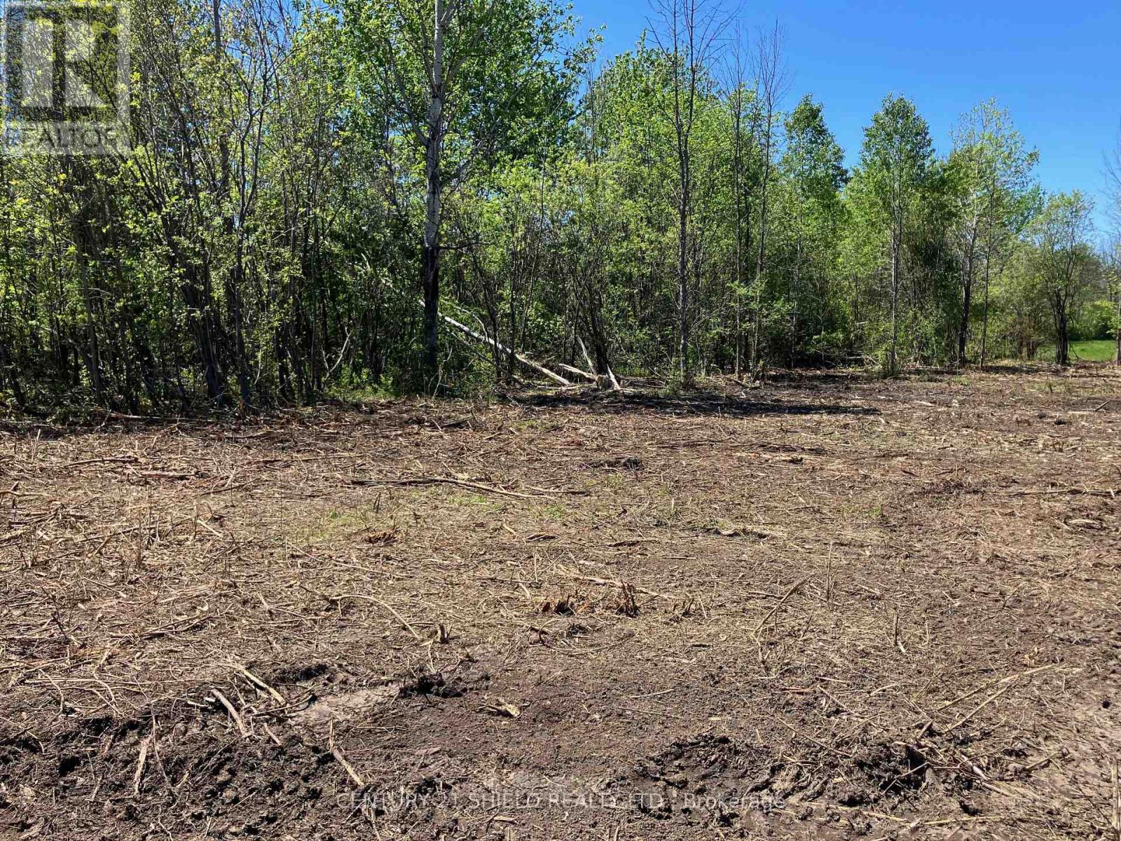 14001 County Road 2 Road, South Stormont, Ontario K0C 1X0 - Photo 4 - X13173654