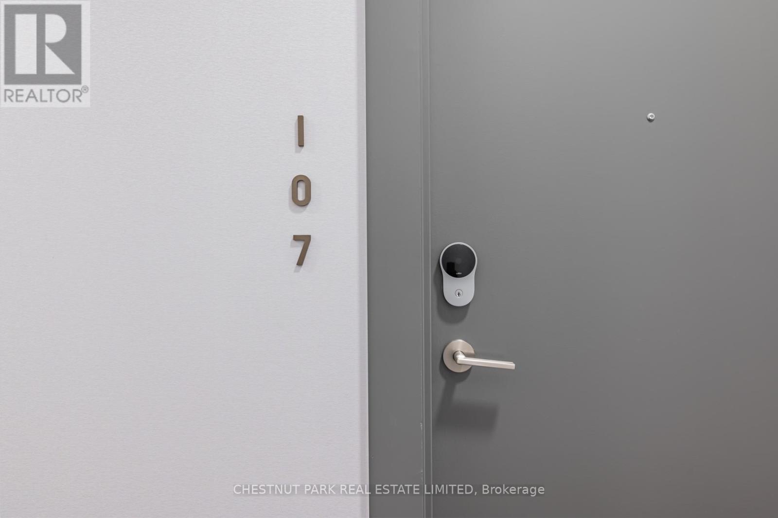 107 - 9 TECUMSETH STREET, Toronto, Ontario