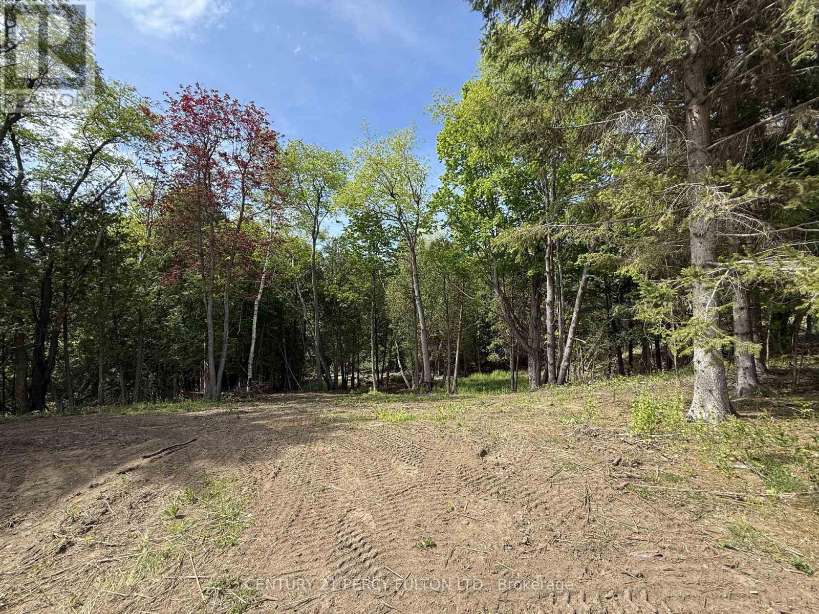 470 Lyndebrook Road, Whitby, Ontario  L1P 2A3 - Photo 10 - E13173790