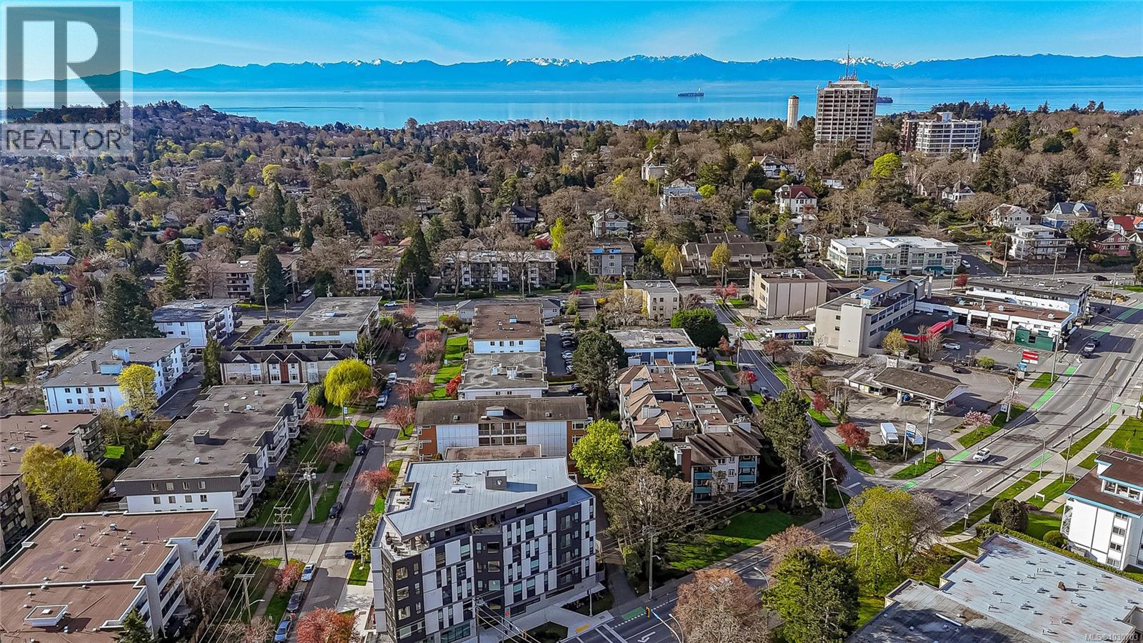 106 1619 Morrison St, Victoria, British Columbia  V8R 6R8 - Photo 3 - 1030703