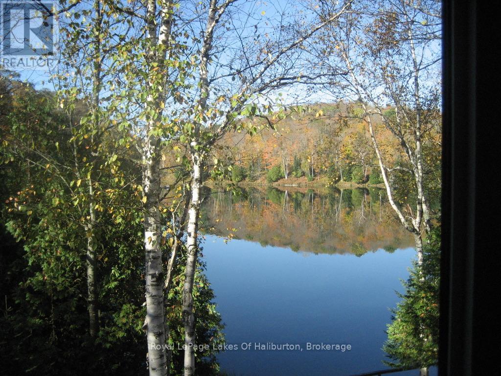 1128 Argillite Road, Dysart Et Al (Dudley), Ontario  K0M 1S0 - Photo 39 - X13174058