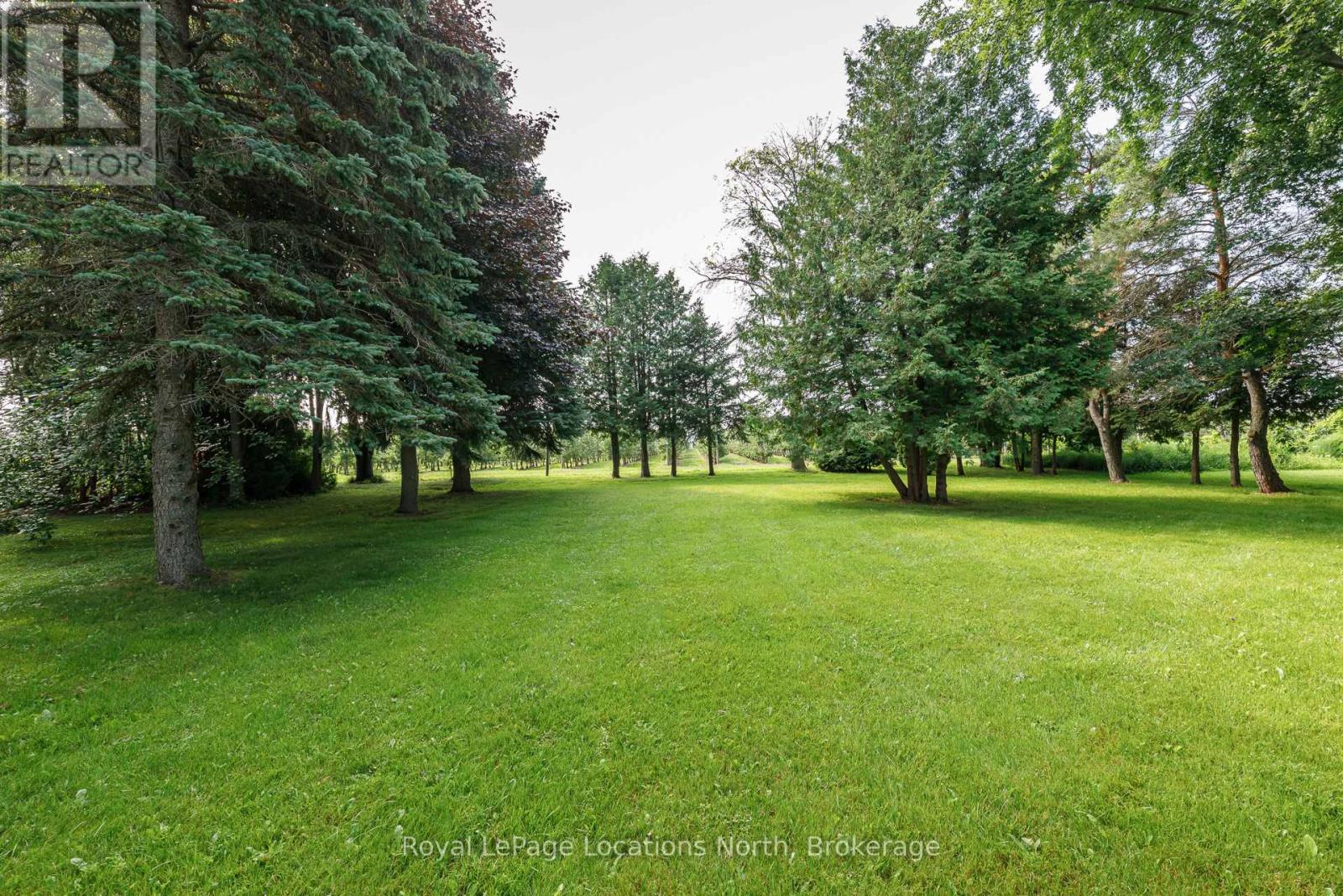 132 Matilda Street, Blue Mountains, Ontario N0H 1J0 - Photo 8 - X13174172