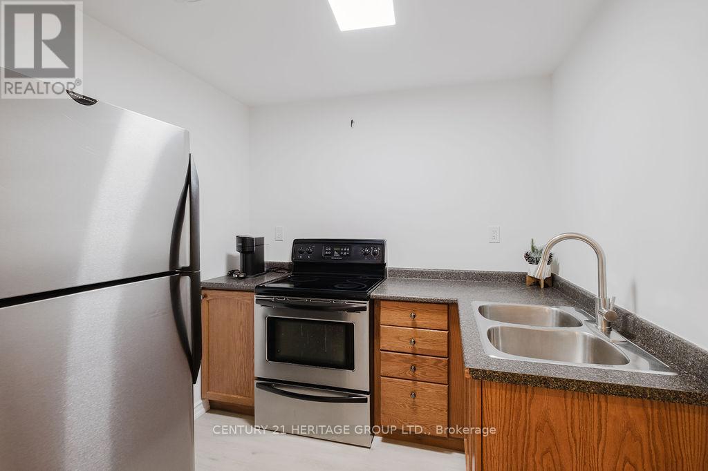 21 Thistle Avenue, Richmond Hill, Ontario  L4E 0B7 - Photo 32 - N13174198