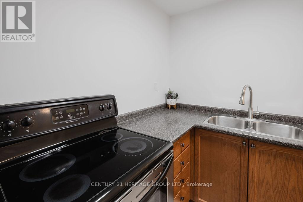 21 Thistle Avenue, Richmond Hill, Ontario  L4E 0B7 - Photo 33 - N13174198