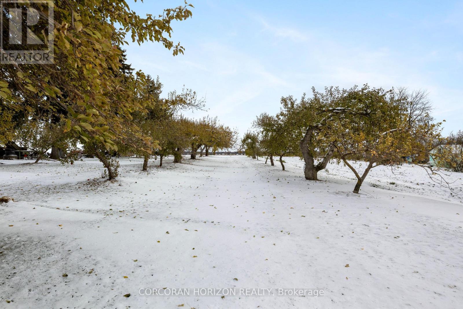 1183 Northfield Drive E, Woolwich, Ontario  N0B 2V0 - Photo 12 - X13174240