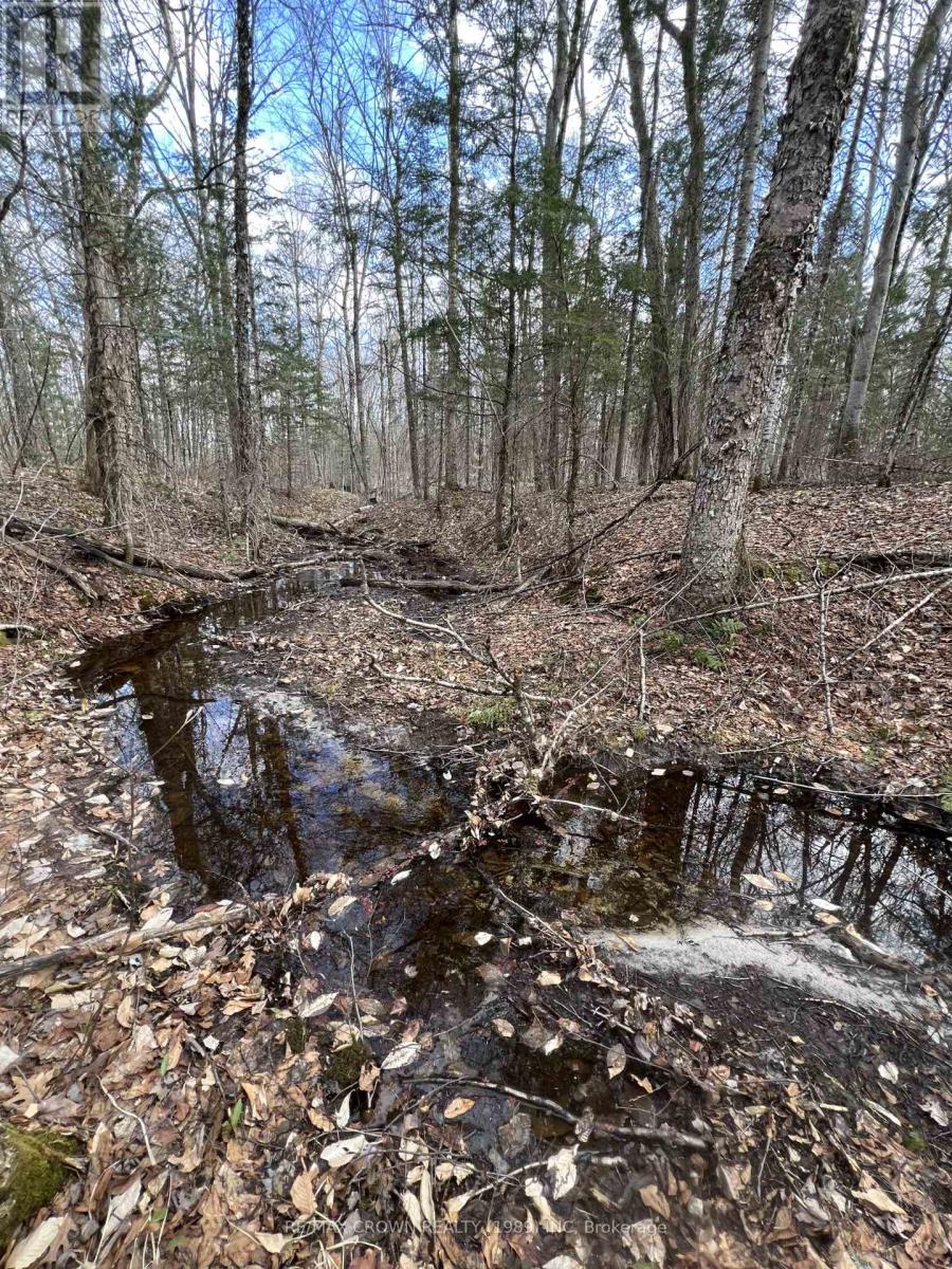 Part Lot 14 Concession 7, Mcmurrich/monteith, Ontario  P0A 1Y0 - Photo 18 - X13174426