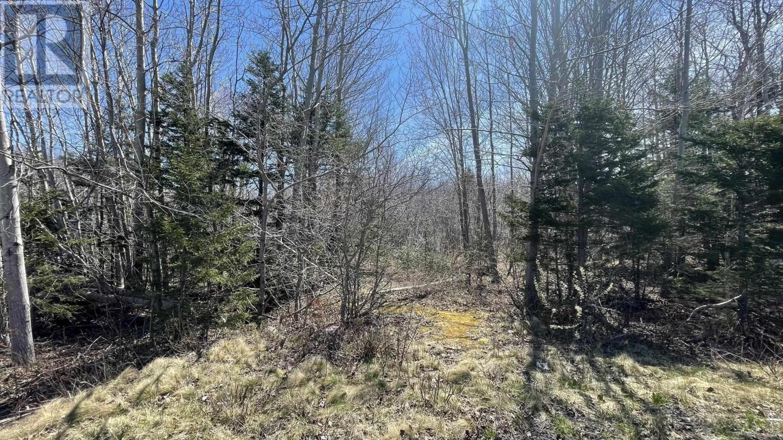 Lot 2 Jordantown Cross Road, Conway, Nova Scotia  B0V 1A0 - Photo 10 - 202602406