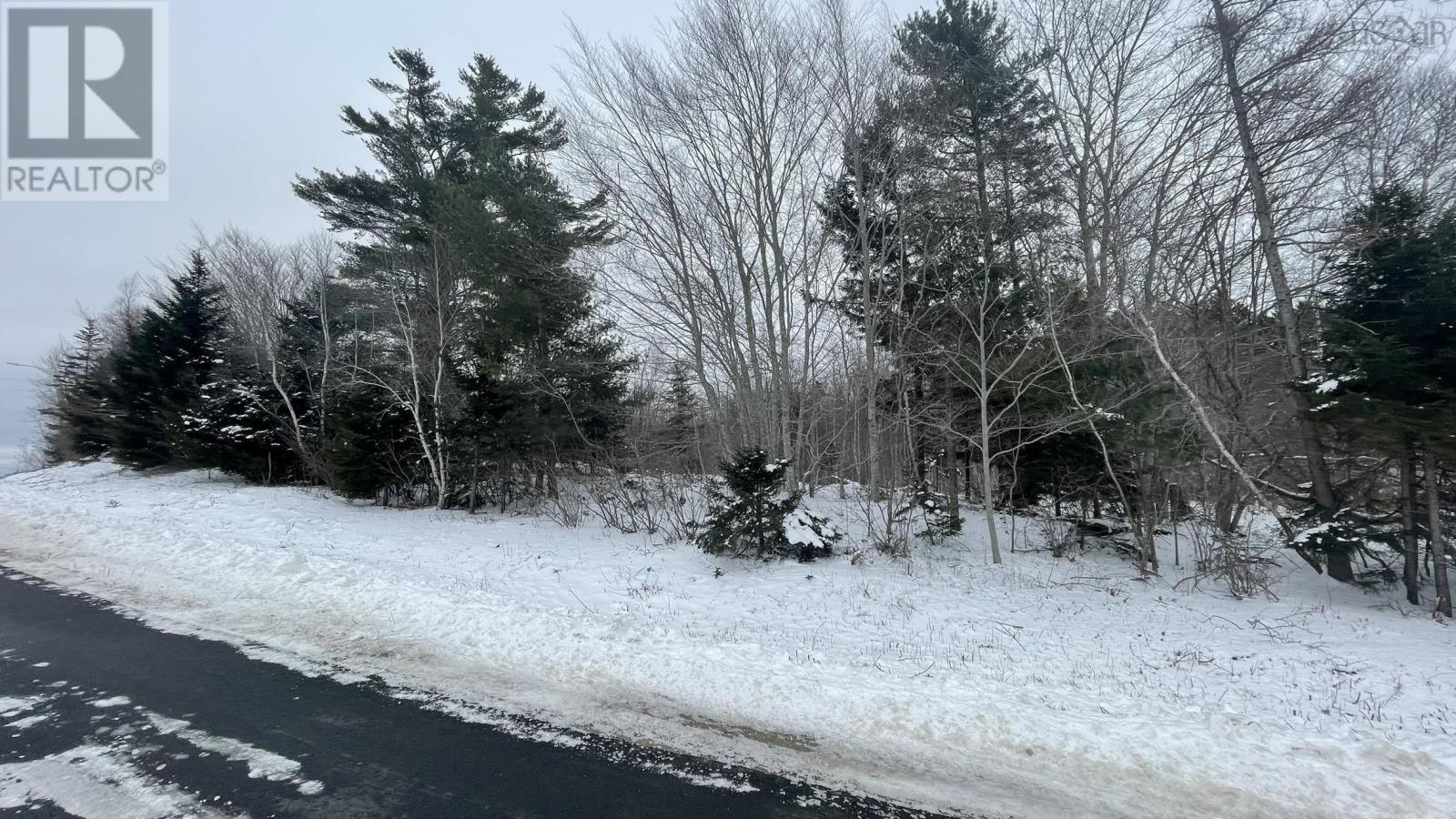 Lot 2 Jordantown Cross Road, Conway, Nova Scotia  B0V 1A0 - Photo 17 - 202602406