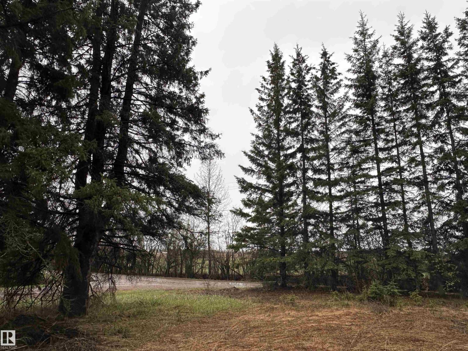 5301 50 Av, Fawcett, Alberta  T0G 0Y0 - Photo 10 - E4489963