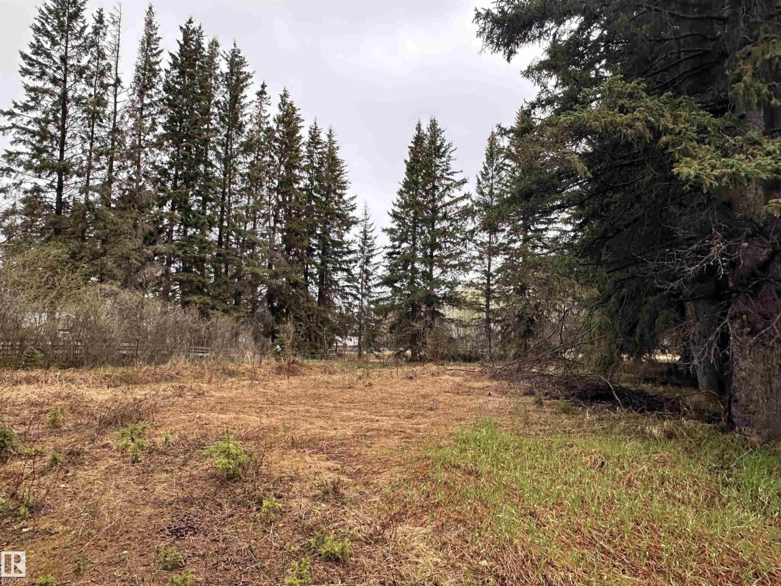 5301 50 Av, Fawcett, Alberta  T0G 0Y0 - Photo 11 - E4489963