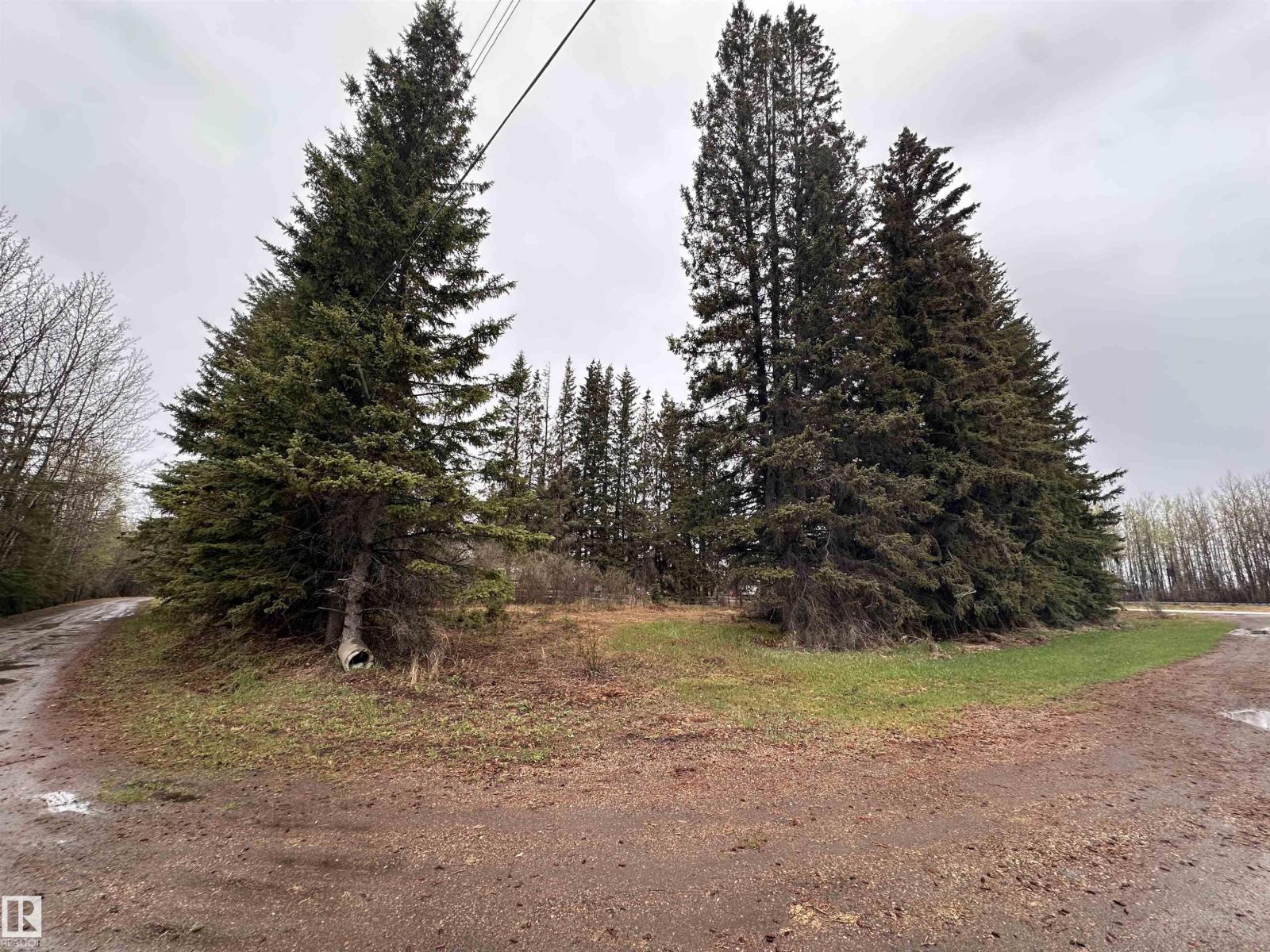5301 50 Av, Fawcett, Alberta  T0G 0Y0 - Photo 12 - E4489963
