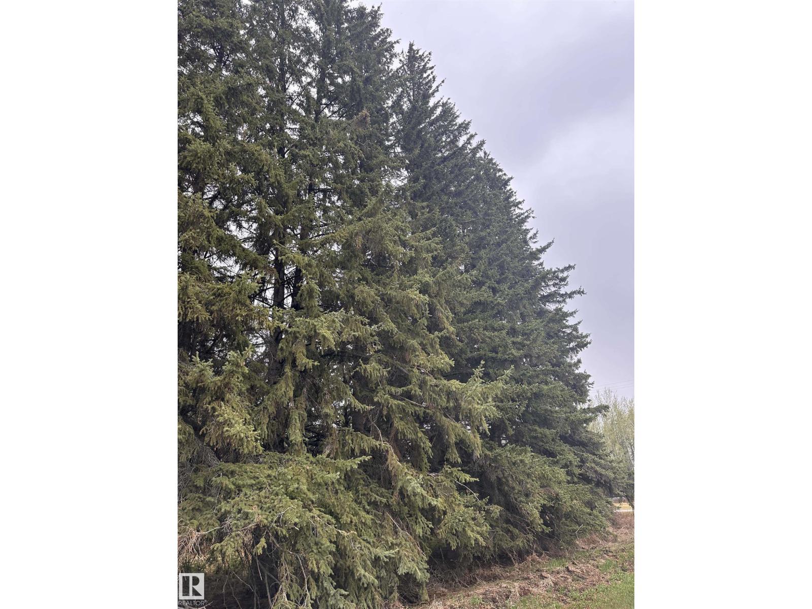 5301 50 Av, Fawcett, Alberta  T0G 0Y0 - Photo 13 - E4489963